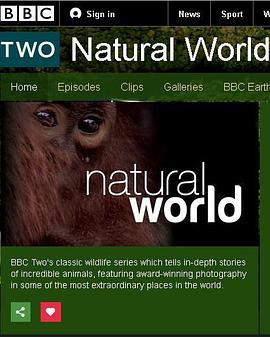 BBC自然世界：海象