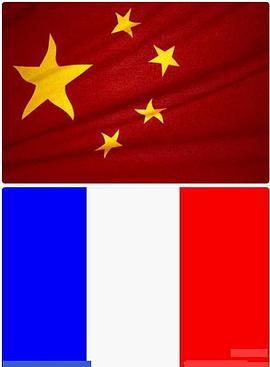 世界杯热身赛法国VS中国