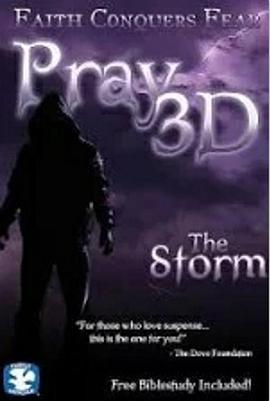 Pray3D:TheStorm