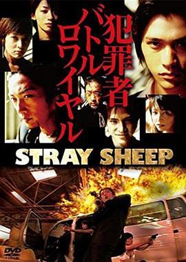 STRAYSHEEPストレイシープ