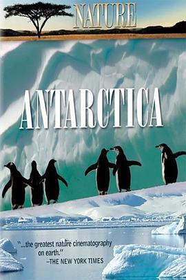 自然：南极冰下